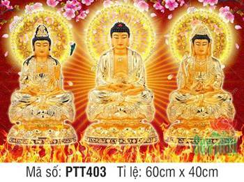 Hình Tây Phương Tam Thánh Chất Lượng Cao PTT403, sắc vàng rực rỡ Hình Tây Phương Tam Thánh Chất Lượng Cao PTT403, sắc vàng rực rỡ