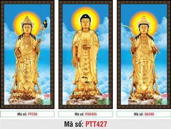 Hình Tây Phương Tam Thánh Chất Lượng Cao PTT427, vẻ đẹp vàng kim Hình Tây Phương Tam Thánh Chất Lượng Cao PTT427, vẻ đẹp vàng kim