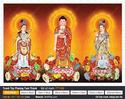 Hình Tây Phương Tam Thánh Đẹp Nhất PTT498
