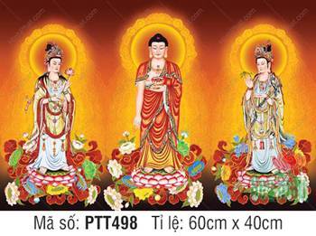 Hình Tây Phương Tam Thánh Đẹp Nhất PTT498, Tôn Tượng Đứng Đài Sen