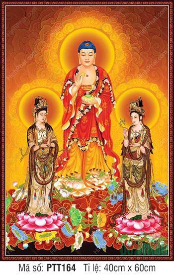 Hình Tây Phương Tam Thánh Đẹp PTT164, ba vị đứng trên đài sen hồng Hình Tây Phương Tam Thánh Đẹp PTT164, ba vị đứng trên đài sen hồng