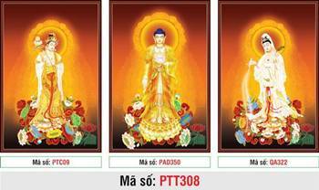 Hình Tây Phương Tam Thánh Đẹp PTT308, hào quang vàng rực rỡ Hình Tây Phương Tam Thánh Đẹp PTT308, hào quang vàng rực rỡ