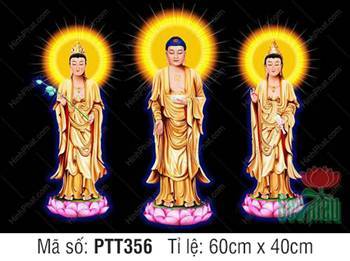 Hình Tây Phương Tam Thánh Đẹp PTT356, Ba Ngài y vàng nền đen Hình Tây Phương Tam Thánh Đẹp PTT356, Ba Ngài y vàng nền đen