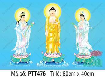 Hình Tây Phương Tam Thánh Đẹp PTT476, ba tôn tượng uy nghi trên đài sen Hình Tây Phương Tam Thánh Đẹp PTT476, ba tôn tượng uy nghi trên đài sen