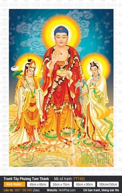 Hình Tây Phương Tam Thánh Đẹp PTT485