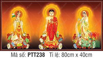 Hình Tây Phương Tam Thánh Khổ Lớn PTT238, hào quang vàng rực rỡ Hình Tây Phương Tam Thánh Khổ Lớn PTT238, hào quang vàng rực rỡ