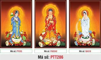 Hình Tây Phương Tam Thánh Khổ Lớn PTT286, y phục ba màu rực rỡ Hình Tây Phương Tam Thánh Khổ Lớn PTT286, y phục ba màu rực rỡ