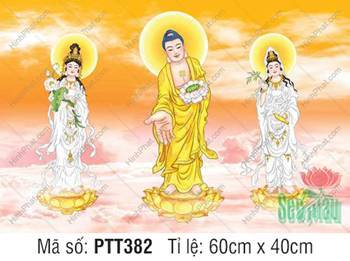 Hình Tây Phương Tam Thánh Khổ Lớn PTT382, hào quang rạng rỡ