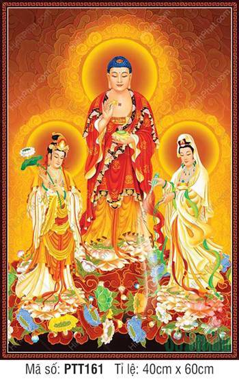 Hình Tây Phương Tam Thánh PTT161, ba vị đứng giữa biển sen rực rỡ Hình Tây Phương Tam Thánh PTT161, ba vị đứng giữa biển sen rực rỡ