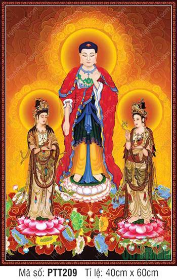 Hình Tây Phương Tam Thánh PTT209, hào quang vàng kim rực rỡ Hình Tây Phương Tam Thánh PTT209, hào quang vàng kim rực rỡ