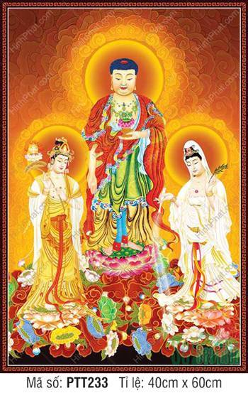 Hình Tây Phương Tam Thánh PTT233, hào quang vàng tỏa sáng Hình Tây Phương Tam Thánh PTT233, hào quang vàng tỏa sáng