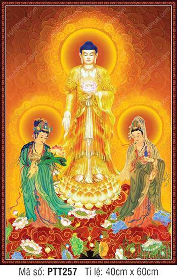 Hình Tây Phương Tam Thánh PTT257, ba vị đứng tòa sen vàng