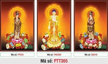 Hình Tây Phương Tam Thánh PTT305, tôn tượng khoác y vàng rực rỡ Hình Tây Phương Tam Thánh PTT305, tôn tượng khoác y vàng rực rỡ