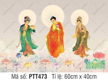 Hình Tây Phương Tam Thánh PTT473, tôn tượng ngự trên mây trắng Hình Tây Phương Tam Thánh PTT473, tôn tượng ngự trên mây trắng