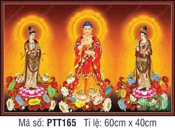 Hình Tây Phương Tam Thánh đẹp nhất PTT165, Ba Ngài Đứng Đài Sen Hình Tây Phương Tam Thánh đẹp nhất PTT165, Ba Ngài Đứng Đài Sen