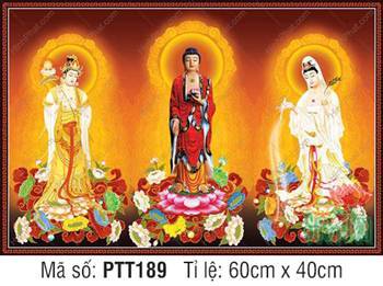 Hình Tây Phương Tam Thánh đẹp nhất PTT189, Ba vị đứng trên tòa sen Hình Tây Phương Tam Thánh đẹp nhất PTT189, Ba vị đứng trên tòa sen