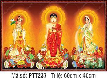 Hình Tây Phương Tam Thánh đẹp nhất PTT237, ba vị Phật đứng đài sen Hình Tây Phương Tam Thánh đẹp nhất PTT237, ba vị Phật đứng đài sen