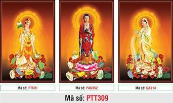 Hình Tây Phương Tam Thánh đẹp nhất PTT309, tư thế đứng trang nghiêm Hình Tây Phương Tam Thánh đẹp nhất PTT309, tư thế đứng trang nghiêm