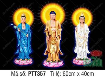 Hình Tây Phương Tam Thánh đẹp nhất PTT357, ba vị Phật ngự đài sen Hình Tây Phương Tam Thánh đẹp nhất PTT357, ba vị Phật ngự đài sen