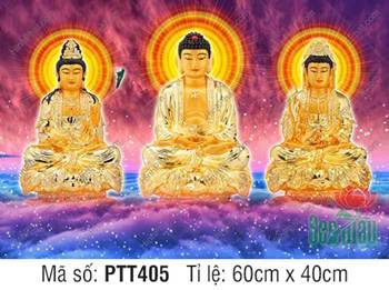 Hình Tây Phương Tam Thánh đẹp nhất PTT405 rực rỡ sắc vàng Hình Tây Phương Tam Thánh đẹp nhất PTT405 rực rỡ sắc vàng