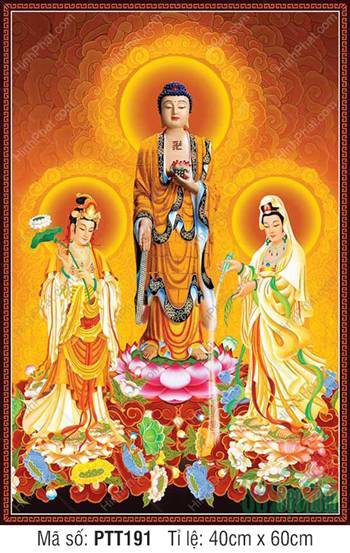 Hình Tây Phương Tam Thánh kích thước lớn PTT191, ba vị Phật ngự đài sen Hình Tây Phương Tam Thánh kích thước lớn PTT191, ba vị Phật ngự đài sen