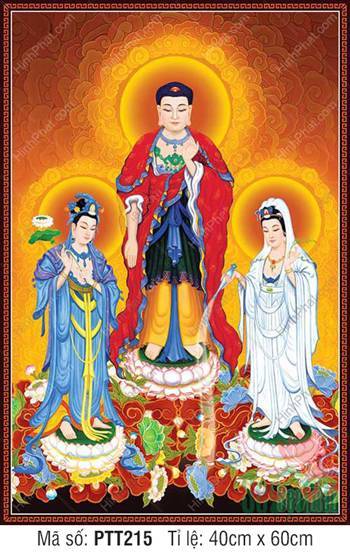 Hình Tây Phương Tam Thánh kích thước lớn PTT215, sắc diện từ bi Hình Tây Phương Tam Thánh kích thước lớn PTT215, sắc diện từ bi