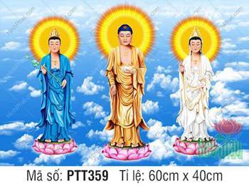 Hình Tây Phương Tam Thánh kích thước lớn PTT359, nền trời mây xanh Hình Tây Phương Tam Thánh kích thước lớn PTT359, nền trời mây xanh