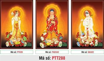 Hình Tây Phương Tam Thánh size Lớn PTT288, sắc màu rực rỡ Hình Tây Phương Tam Thánh size Lớn PTT288, sắc màu rực rỡ
