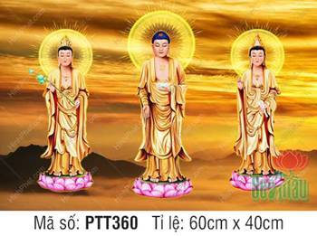 Hình Tây Phương Tam Thánh size Lớn PTT360, hào quang vàng rực rỡ Hình Tây Phương Tam Thánh size Lớn PTT360, hào quang vàng rực rỡ
