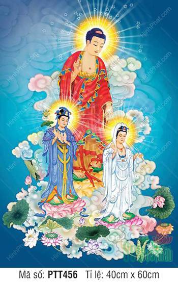Hình Tây Phương Tam Thánh size Lớn PTT456, rạng rỡ nền trời sao Hình Tây Phương Tam Thánh size Lớn PTT456, rạng rỡ nền trời sao