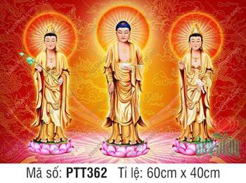 Tây Phương Tam Thánh Đẹp PTT362, sắc vàng kim rực rỡ tỏa sáng