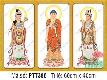 Tây Phương Tam Thánh Đẹp PTT386, viền khung vàng trang nghiêm