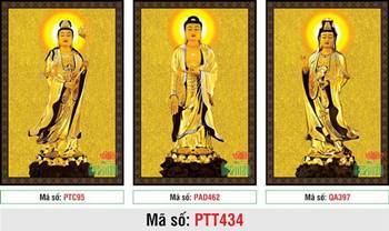 Tây Phương Tam Thánh Đẹp PTT434, tôn tượng vàng nền gấm rực rỡ Tây Phương Tam Thánh Đẹp PTT434, tôn tượng vàng nền gấm rực rỡ