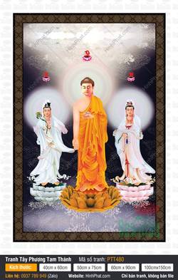 Tây Phương Tam Thánh Đẹp PTT480, Tranh Tam Thánh
