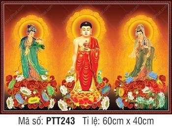 Tây Phương Tam Thánh Khổ Lớn PTT243, hào quang rực rỡ