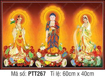 Tây Phương Tam Thánh Khổ Lớn PTT267, diện tượng trang nghiêm