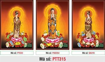 Tây Phương Tam Thánh Khổ Lớn PTT315, tôn dung ba vị Phật đứng Tây Phương Tam Thánh Khổ Lớn PTT315, tôn dung ba vị Phật đứng