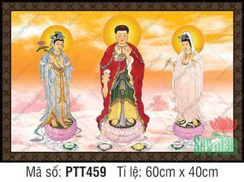 Tây Phương Tam Thánh Khổ Lớn PTT459, phác họa tôn tượng đứng đài sen Tây Phương Tam Thánh Khổ Lớn PTT459, phác họa tôn tượng đứng đài sen