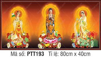 Tây Phương Tam Thánh PTT193, hào quang tỏa sáng rạng ngời Tây Phương Tam Thánh PTT193, hào quang tỏa sáng rạng ngời