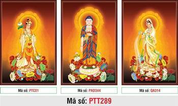 Tây Phương Tam Thánh PTT289, diện tượng trang nghiêm từ bi Tây Phương Tam Thánh PTT289, diện tượng trang nghiêm từ bi