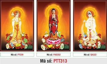 Tây Phương Tam Thánh PTT313, diện tượng ba vị ngự đài sen Tây Phương Tam Thánh PTT313, diện tượng ba vị ngự đài sen