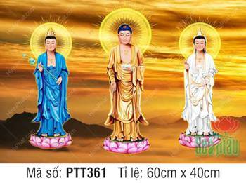 Tây Phương Tam Thánh PTT361, hình ảnh ba Đức Phật ngự đài sen hồng