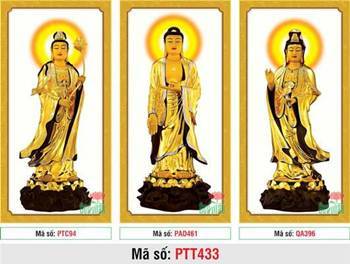 Tây Phương Tam Thánh PTT433, tôn tượng vàng kim uy nghi Tây Phương Tam Thánh PTT433, tôn tượng vàng kim uy nghi