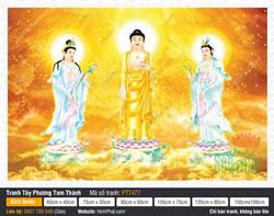 Tây Phương Tam Thánh PTT477, Tam Thánh Tây Phương