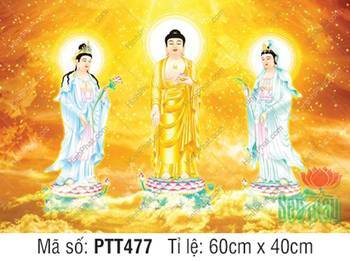 Tây Phương Tam Thánh PTT477, Tam Thánh Tây Phương ngự đài sen Tây Phương Tam Thánh PTT477, Tam Thánh Tây Phương ngự đài sen