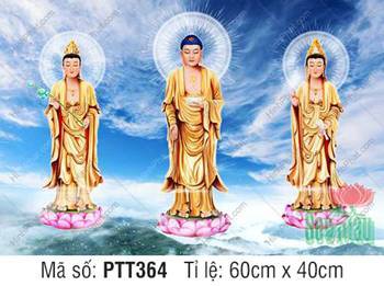 Tây Phương Tam Thánh kích thước lớn PTT364, hình ba Đức Phật y vàng