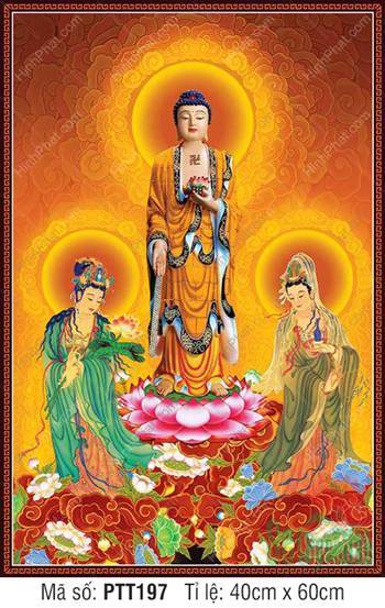 Tây Phương Tam Thánh size lớn PTT197, ba vị Phật đứng trên tòa sen Tây Phương Tam Thánh size lớn PTT197, ba vị Phật đứng trên tòa sen