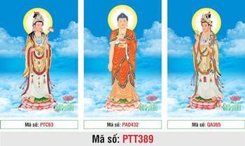 Tây Phương Tam Thánh size lớn PTT389, ba vị Phật ngự đài sen