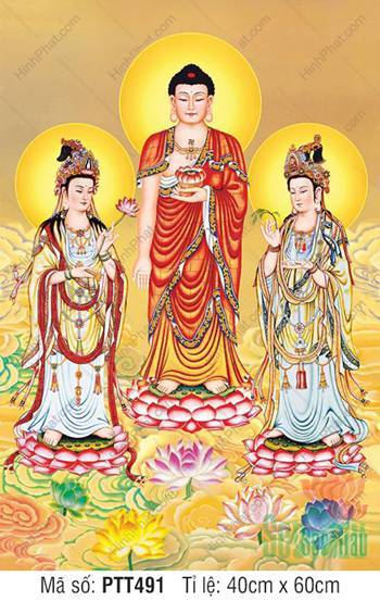 Tranh Phật Tây Phương Tam Thánh PTT491, Ba Ngài đứng trên đài sen