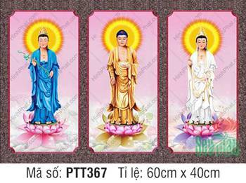 Tranh Tây Phương Tam Thánh A Di Đà Phật PTT367, bộ ba khung rời đẹp